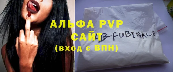 эйфоретик Покачи
