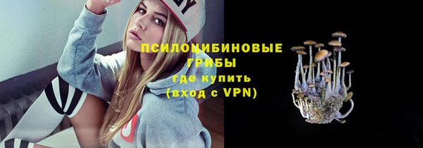 метадон Арсеньев