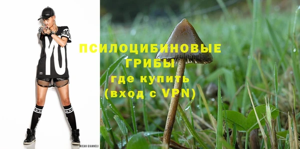 ALPHA-PVP Армянск
