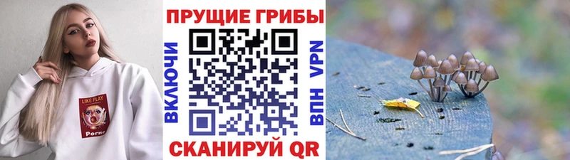 наркотики  KRAKEN ссылки  Галлюциногенные грибы мицелий  Арсеньев 